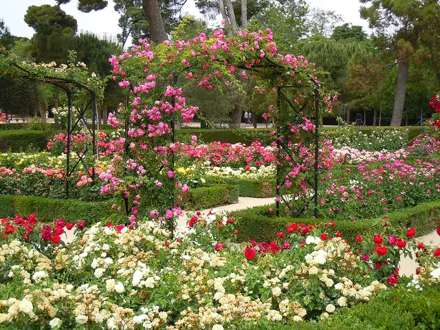 Chanel patrocina la restauración de la Rosaleda del Jardín Botánico