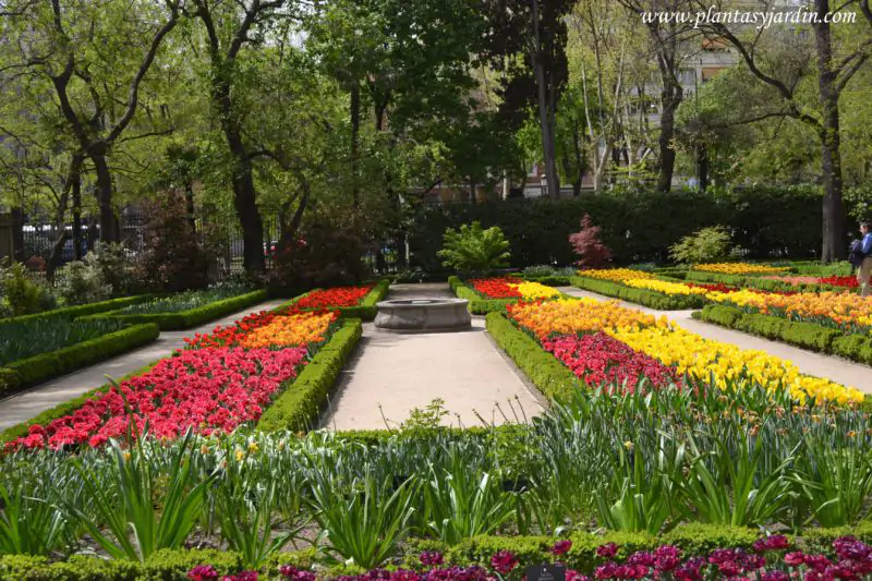 El Jardín Botánico celebra un ‘Scape Garden’