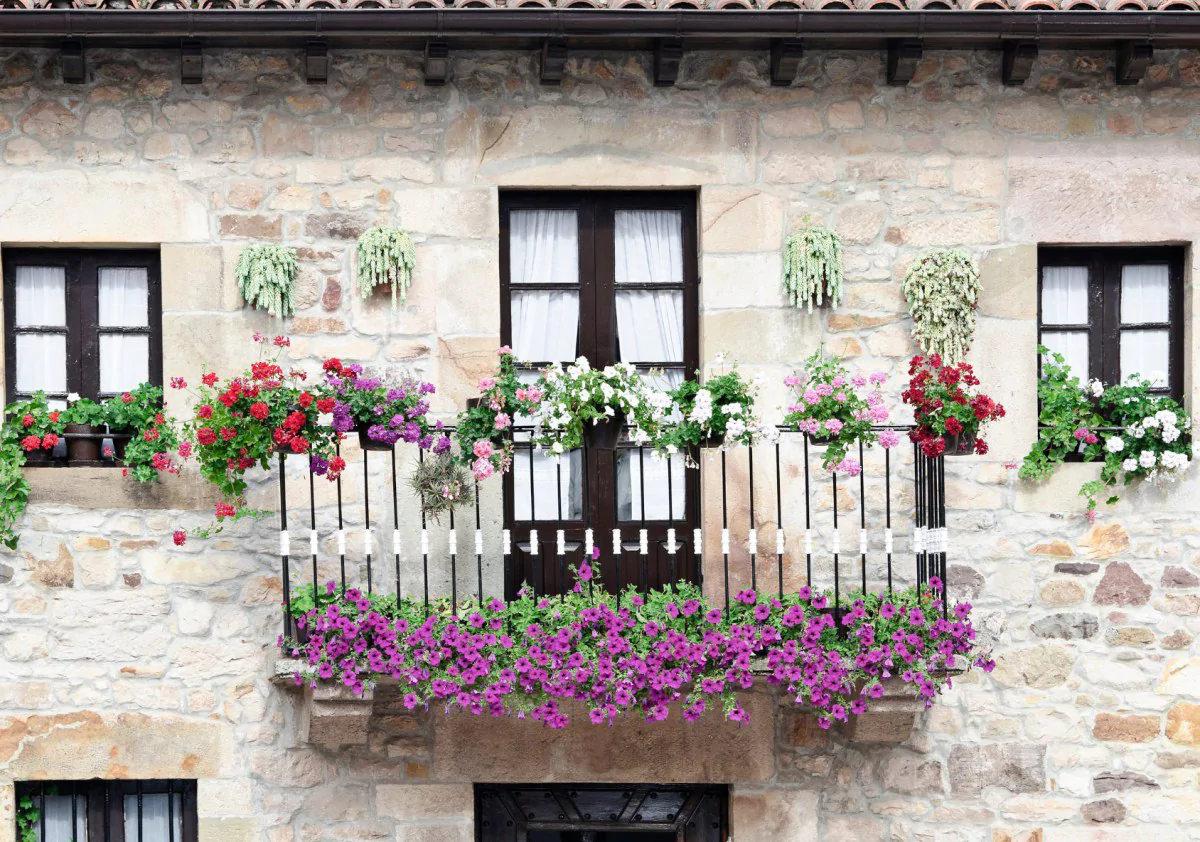 Flores de balcón de invierno