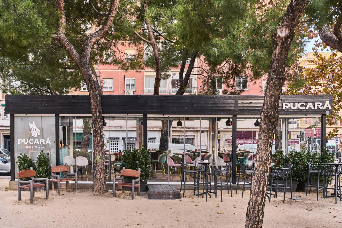 Pucará: un buen ceviche para festejar el verano con su explosión de sabores.